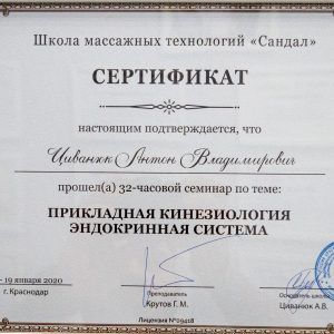 civanyuk-anton-diplomy-i-sertifikaty-17