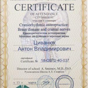 civanyuk-anton-diplomy-i-sertifikaty-2