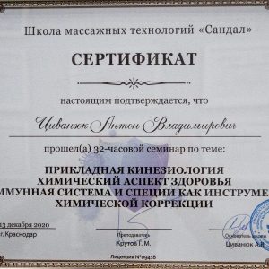 civanyuk-anton-diplomy-i-sertifikaty-20