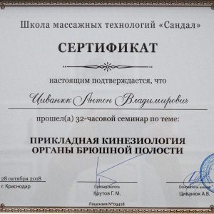 civanyuk-anton-diplomy-i-sertifikaty-22