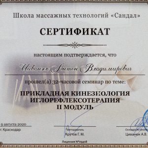 civanyuk-anton-diplomy-i-sertifikaty-4