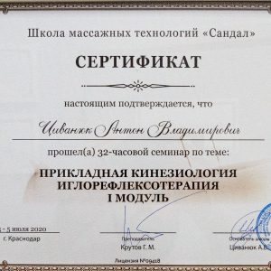 civanyuk-anton-diplomy-i-sertifikaty-5