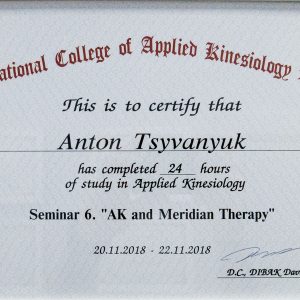 civanyuk-anton-diplomy-i-sertifikaty-7