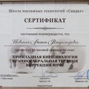 civanyuk-anton-diplomy-i-sertifikaty-8