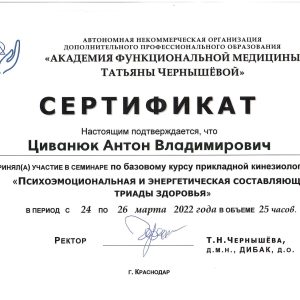 циванюк сертификат чернышева