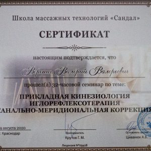 verenich-diplomy-i-sertifikaty-4-scaled